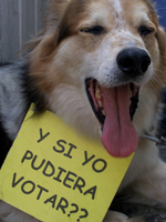 Si Yo Pudiera Votar