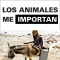 Animals Matter (WSPA)